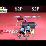 新加坡国门,桑尼受中国,球迷热烈支,赢彩网,彩票平台,在线投注,安全购彩,彩票预测