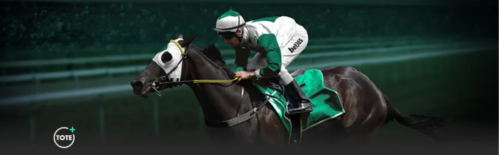 蓉国安平战,红牌点球激,战瞬间,赢彩网,彩票平台,在线投注,安全购彩,彩票预测